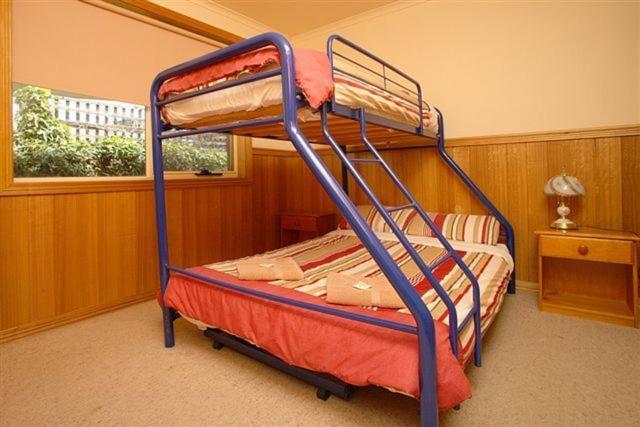 Apollo Bay Backpackers Lodge Szoba fotó